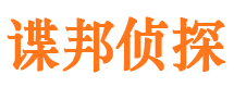 武陵市调查公司